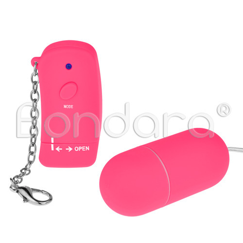 Pink Power 10 Function Remote Vibrating Love Egg